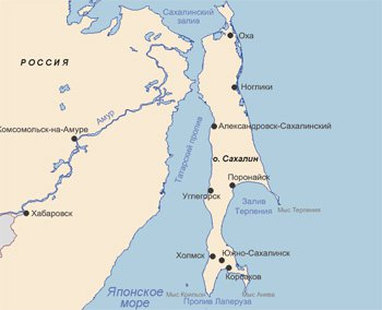 Берегоукрепление мусором: идея чиновников вызвала недоумение экспертов