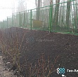 Укрепление склонов на территории детского сада, Гатчинский район, поселок Сиверский