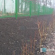 Укрепление склонов на территории детского сада, Гатчинский район, поселок Сиверский