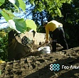 Создание зеленой кровли банного комплекса